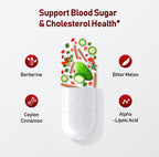 Berberine supports blood sugar cholesterol health