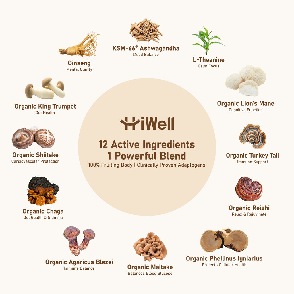12-in-1 Organic Mushroom Coffee - Lion's Mane, Reishi, Ginseng, KSM-66® Ashwagandha