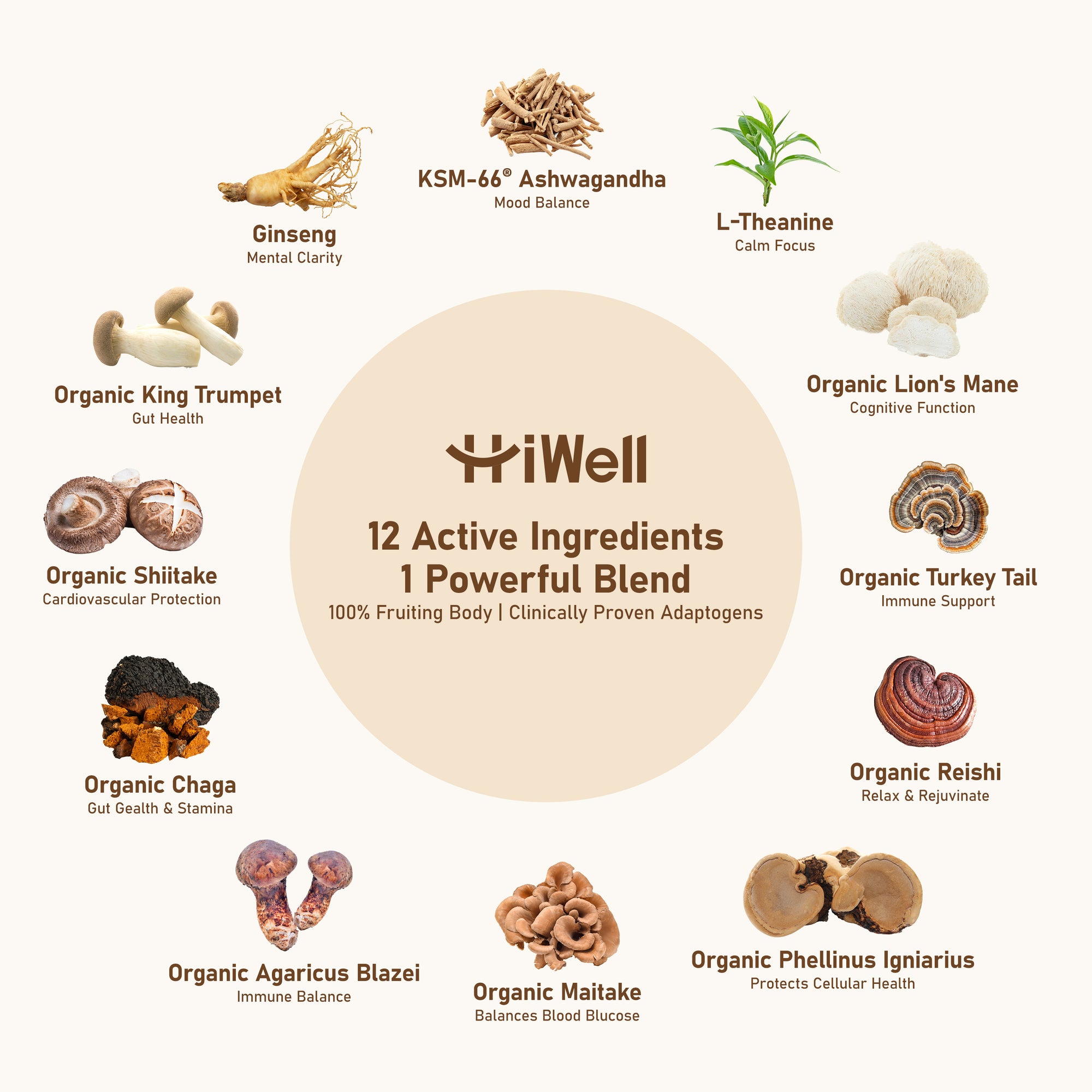 12-in-1 Organic Mushroom Coffee - Lion's Mane, Reishi, Ginseng, KSM-66® Ashwagandha